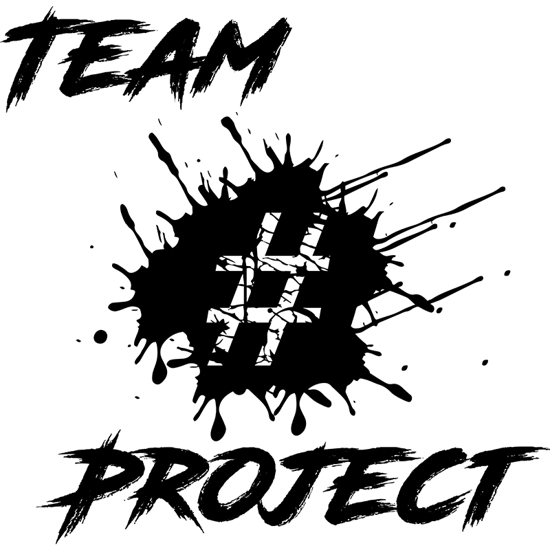 Team Project